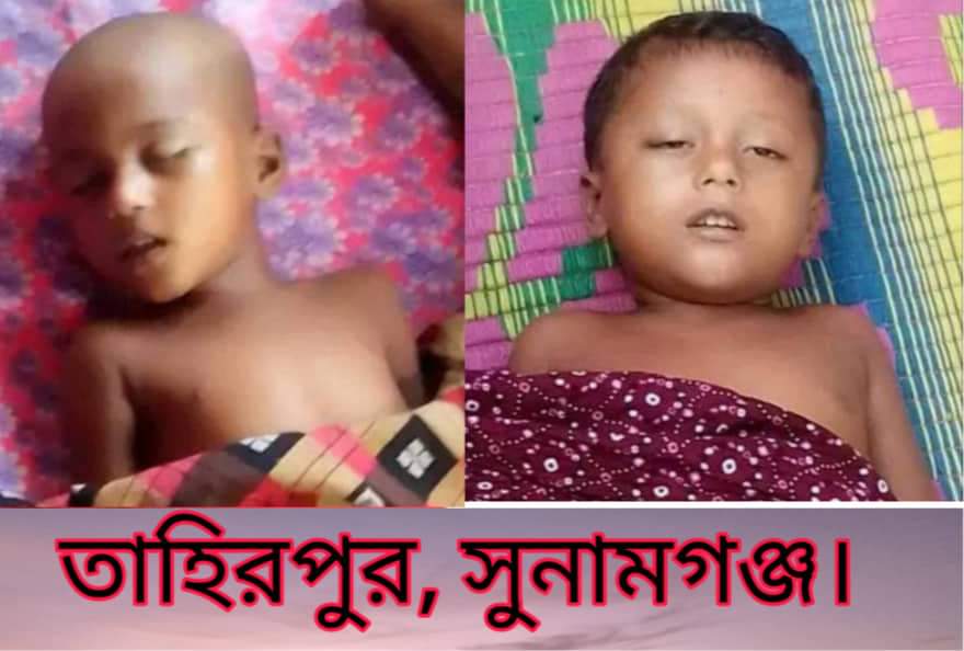 তাহিরপুরে হাওরের পানিতে ডুবে দুই শিশুর মৃত্যু