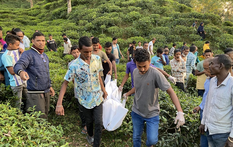 সিলেটে চা বাগান থেকে যুবকের লাশ উদ্ধার