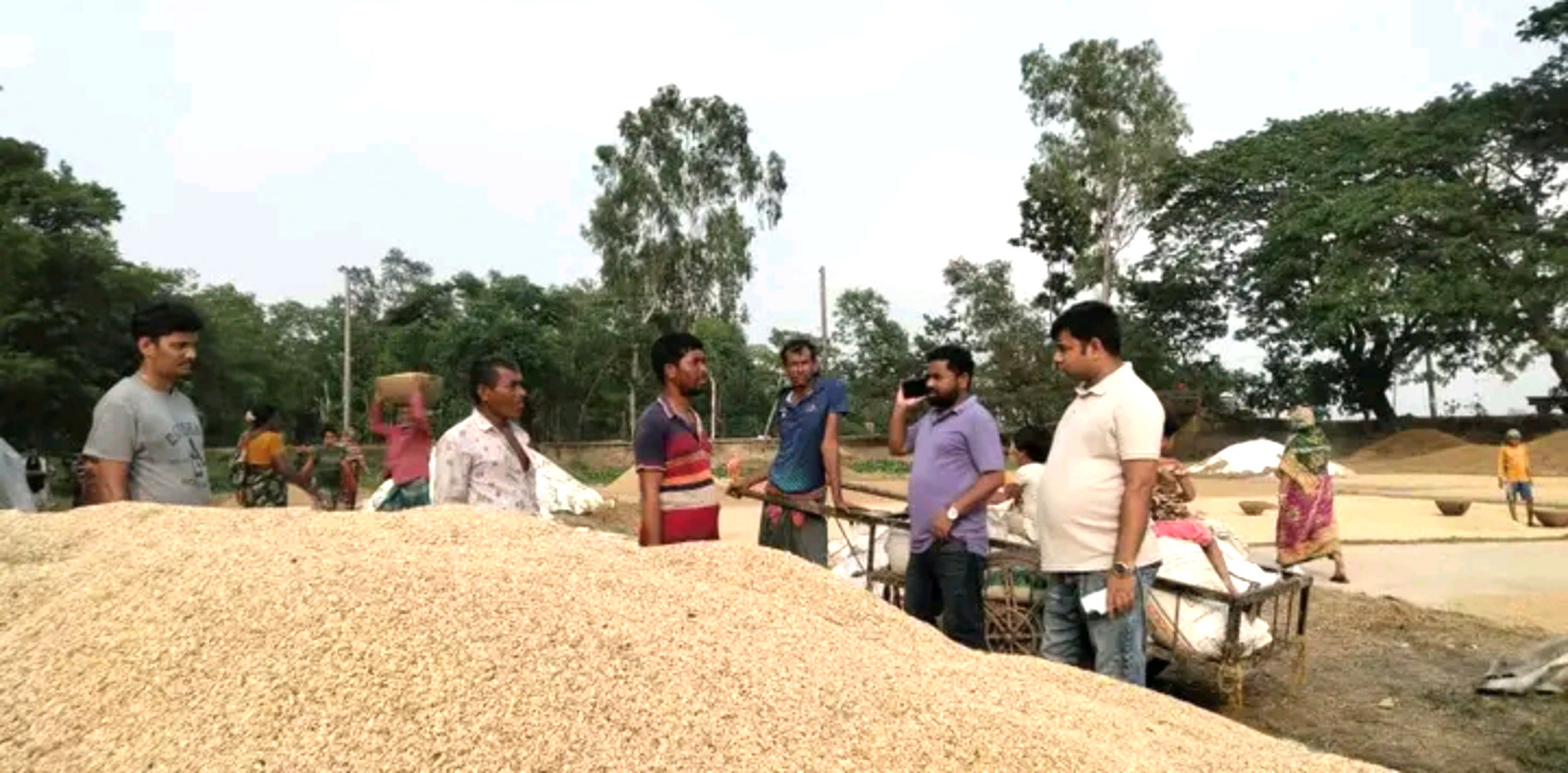 হাওরের বোরোধান কর্তন পরিদর্শন করেছেন জগন্নাথপুরের ইউএনও